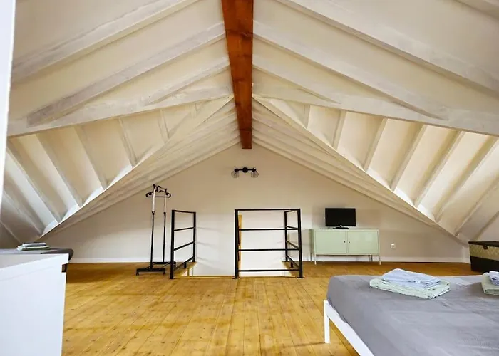 Aves De Paso Pedreña